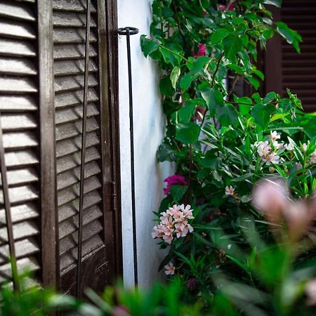El Molino Estepona Dış mekan fotoğraf