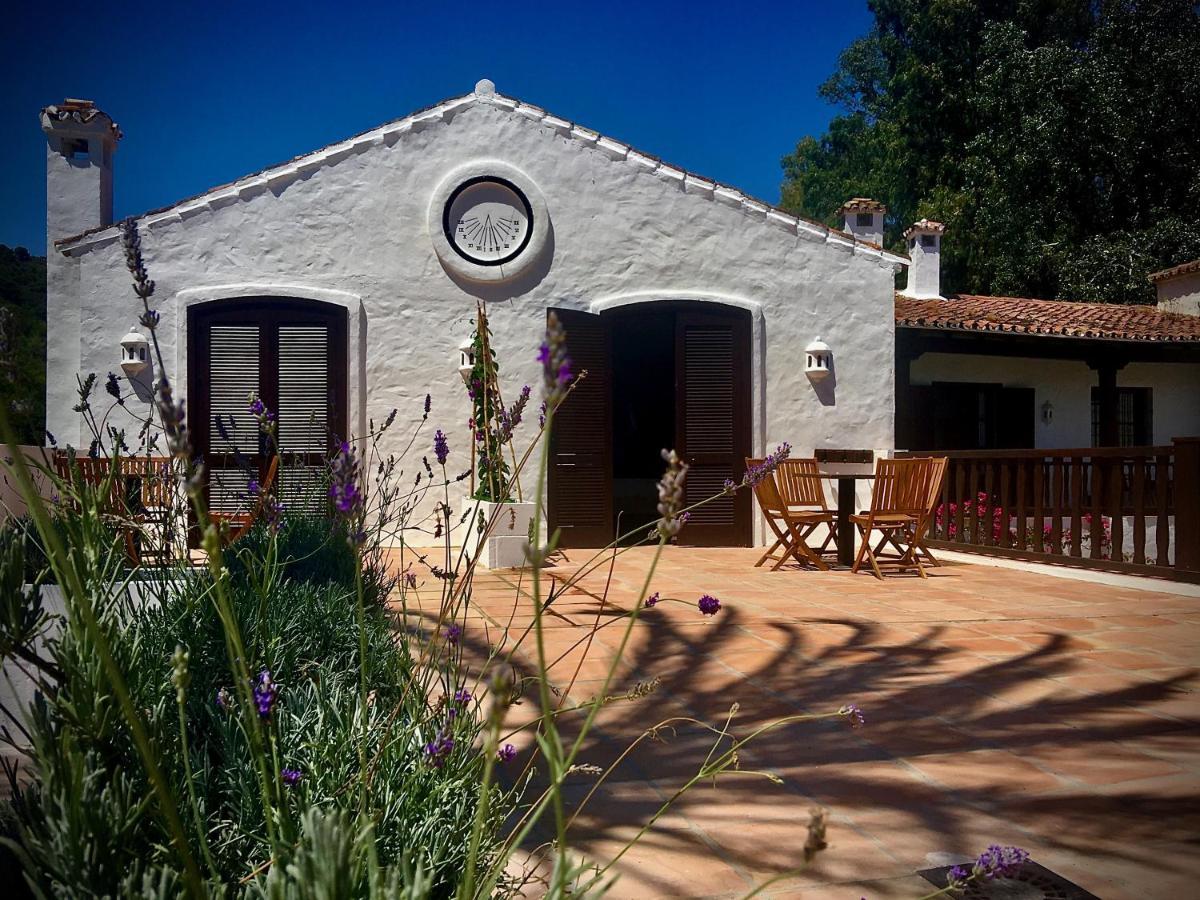 El Molino Estepona Dış mekan fotoğraf