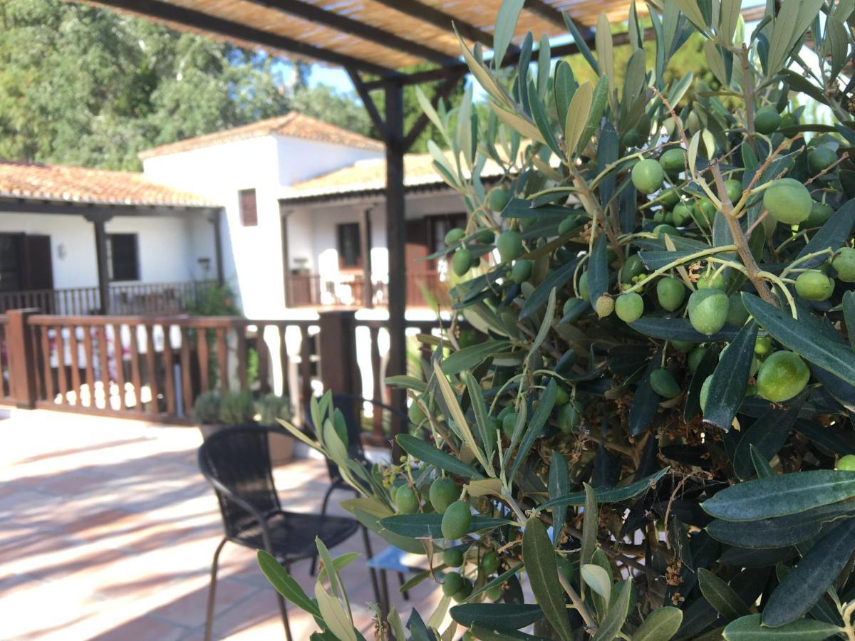 El Molino Estepona Dış mekan fotoğraf