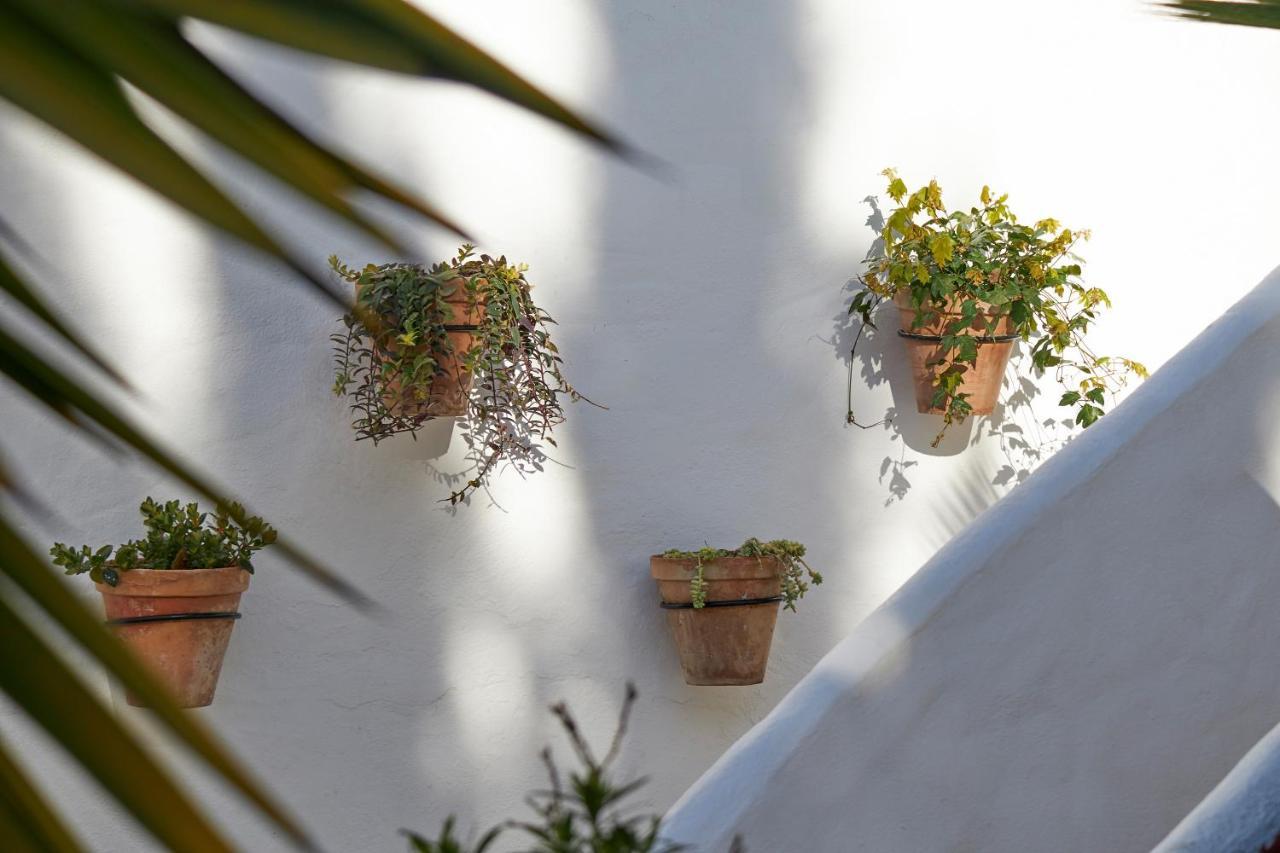 El Molino Estepona Dış mekan fotoğraf