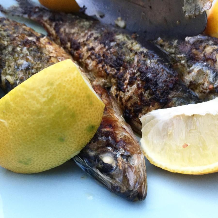 El Molino Estepona Dış mekan fotoğraf